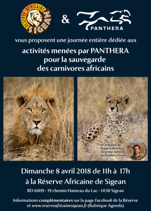 Journ&#x00E9;e&#x20;Panthera&#x20;&#x3A;&#x20;sauvons&#x20;les&#x20;carnivores&#x20;d&amp;&#x23;8217&#x3B;Afrique&#x20;&#x21;
