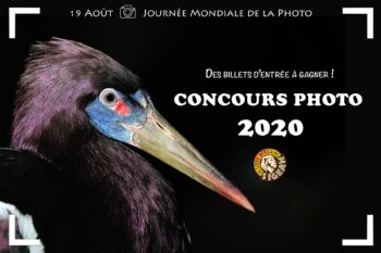 Concours photo de la Réserve Africaine de Sigean 2020
