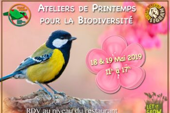 Coup de pousse à la Nature