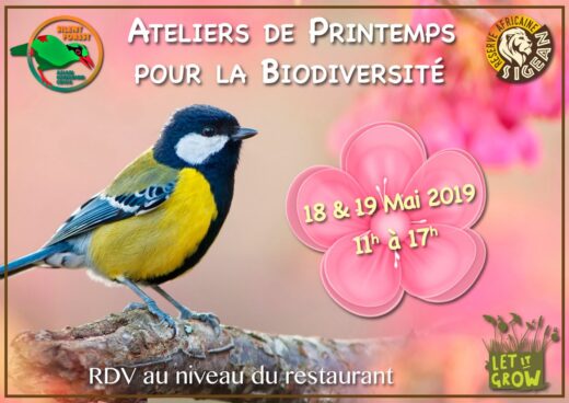 Coup&#x20;de&#x20;pousse&#x20;&#x00E0;&#x20;la&#x20;Nature