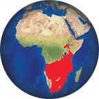 Éland du Cap