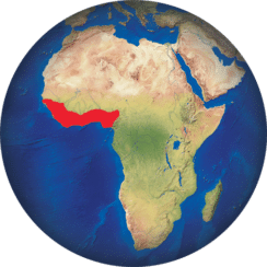 Cocodrilo hociquifino africano