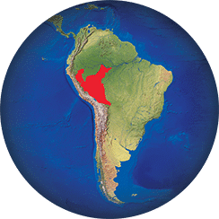 Saimirí boliviano