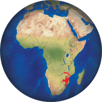 Nyala