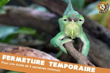 Fermeture temporaire &#8211; Covid19
