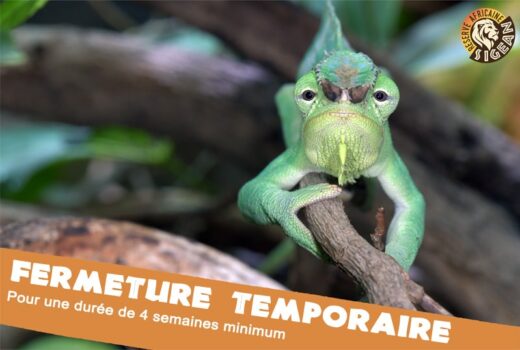 Fermeture&#x20;temporaire&#x20;&amp;&#x23;8211&#x3B;&#x20;Covid19