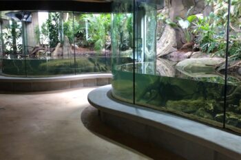C&#8217;EST LE GRAND JOUR : LE NOUVEAU VIVARIUM OUVRE SES PORTES !