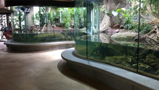 C&amp;&#x23;8217&#x3B;EST&#x20;LE&#x20;GRAND&#x20;JOUR&#x20;&#x3A;&#x20;LE&#x20;NOUVEAU&#x20;VIVARIUM&#x20;OUVRE&#x20;SES&#x20;PORTES&#x20;&#x21;