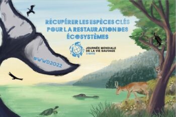 Journée Mondiale de la Vie Sauvage