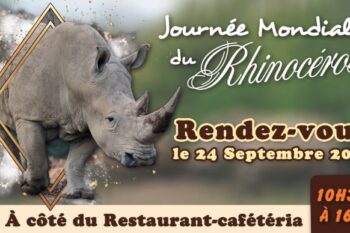 Journée Mondiale du Rhinocéros