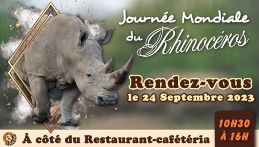 Dia&#x20;Mundial&#x20;del&#x20;Rinoceront