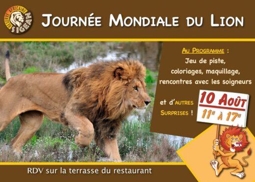 Journ&#x00E9;e&#x20;mondiale&#x20;du&#x20;lion&#x20;2019