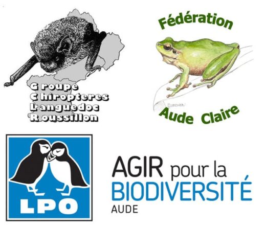 Fonds&#x20;de&#x20;soutien&#x00A0;aux&#x20;associations&#x20;locales&#x20;de&#x20;protection&#x20;de&#x20;la&#x20;nature&#x20;&#x3A;&#x20;les&#x20;laur&#x00E9;ats&#x00A0;&#x21;