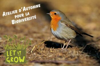 UN COUP DE « POUSSE » À LA NATURE