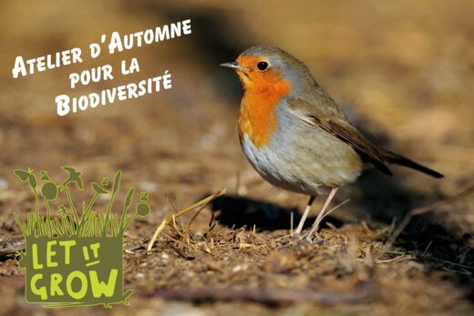 UN&#x20;COUP&#x20;DE&#x20;&#x00AB;&#x00A0;POUSSE&#x00A0;&#x00BB;&#x20;&#x00C0;&#x20;LA&#x20;NATURE