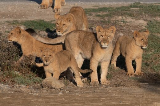 La&#x20;famille&#x20;s&amp;&#x23;8217&#x3B;agrandit&#x20;&#x21;