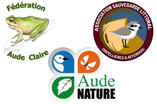 LA&#x20;R&#x00C9;SERVE&#x20;AFRICAINE&#x20;DE&#x20;SIGEAN&#x20;SOUTIENT&#x20;LA&#x20;BIODIVERSIT&#x00C9;&#x20;LOCALE