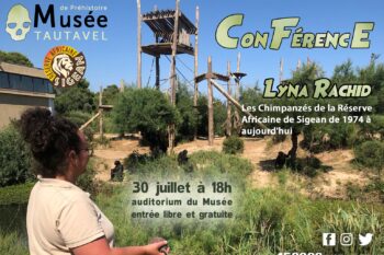 Sur la Piste des Grands Singes