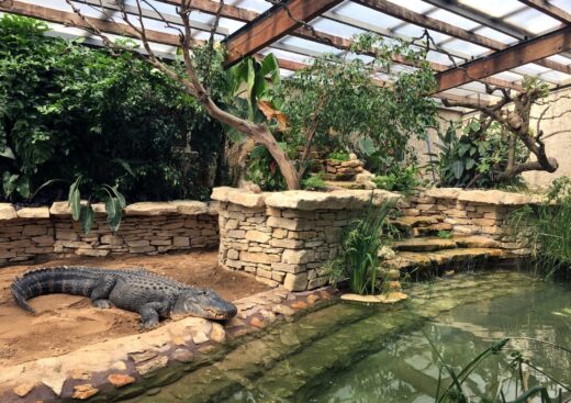 La&#x20;nouvelle&#x20;maison&#x20;des&#x20;Alligators&#x20;ouvre&#x20;pour&#x20;la&#x20;Toussaint&#x20;&#x21;