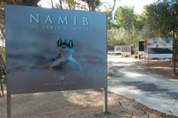 Exposición &#8220;NAMIB&#8221;