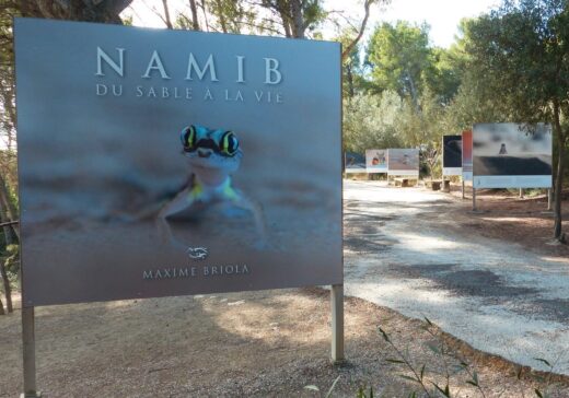 Exposition&#x20;&amp;&#x23;8220&#x3B;NAMIB&amp;&#x23;8221&#x3B;