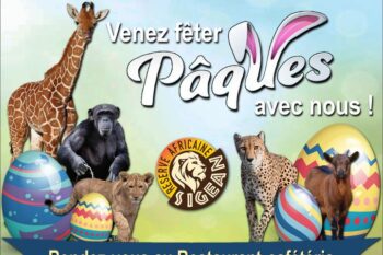Pâques à la Réserve Africaine de Sigean