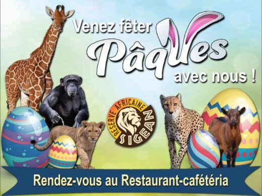 P&#x00E2;ques&#x20;&#x00E0;&#x20;la&#x20;R&#x00E9;serve&#x20;Africaine&#x20;de&#x20;Sigean