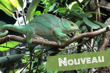 Ouverture du nouveau Vivarium