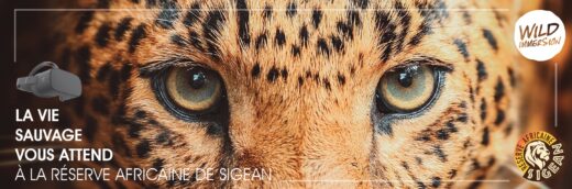 Safari&#x20;virtuel&#x20;&#x00E0;&#x20;la&#x20;R&#x00E9;serve&#x20;Africaine&#x20;de&#x20;Sigean