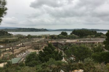 Les travaux de la volière géante avancent à grands pas !