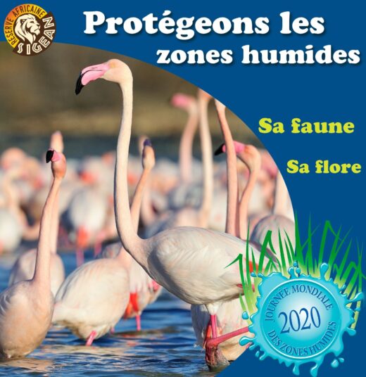 Journ&#x00E9;e&#x20;Internationale&#x20;des&#x20;Zones&#x20;Humides