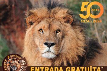 El 2024, gratis per a tu el dia del teu aniversari