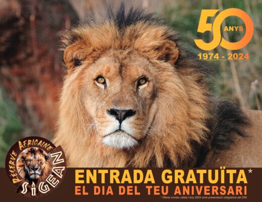 El&#x20;2024,&#x20;gratis&#x20;per&#x20;a&#x20;tu&#x20;el&#x20;dia&#x20;del&#x20;teu&#x20;aniversari