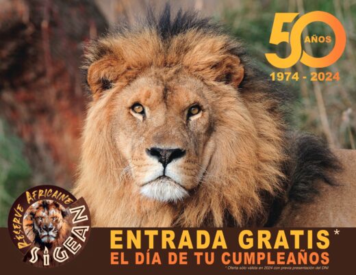 En&#x20;2024,&#x20;entrada&#x20;gratis&#x20;para&#x20;ti&#x20;el&#x20;d&#x00ED;a&#x20;tu&#x20;cumplea&#x00F1;os