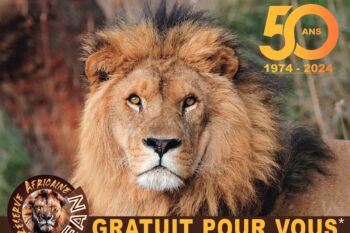 En 2024, gratuit pour vous le jour de votre anniversaire