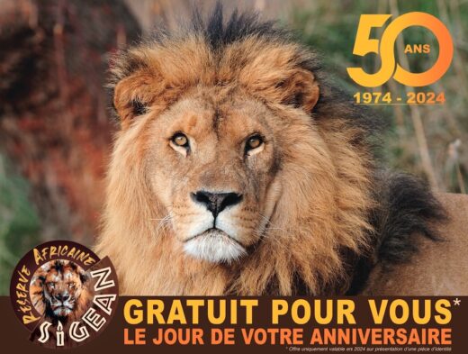 En&#x20;2024,&#x20;gratuit&#x20;pour&#x20;vous&#x20;le&#x20;jour&#x20;de&#x20;votre&#x20;anniversaire