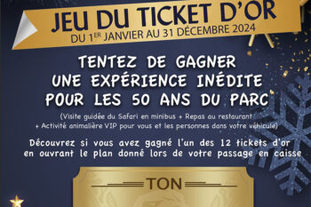 Ticket d&#8217;or