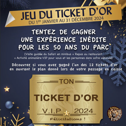 Ticket&#x20;d&amp;&#x23;8217&#x3B;or
