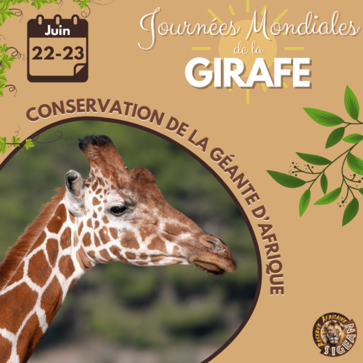 &#x00A1;El&#x20;22&#x20;y&#x20;23&#x20;de&#x20;junio&#x3A;&#x20;Os&#x20;damos&#x20;cita&#x20;en&#x20;Sigean&#x20;para&#x20;el&#x20;fin&#x20;de&#x20;semana&#x20;de&#x20;la&#x20;Jirafa&#x21;