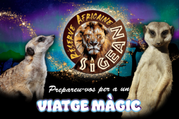 Prepareu-vos per a un viatge màgic!