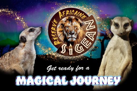Get&#x20;ready&#x20;for&#x20;a&#x20;magical&#x20;journey&#x21;