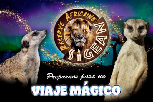 &#x00A1;Preparaos&#x20;para&#x20;un&#x20;viaje&#x20;m&#x00E1;gico&#x21;