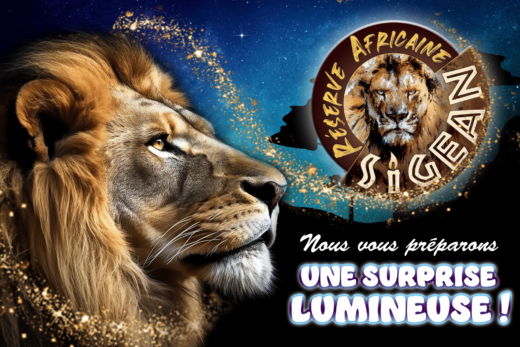 Nous&#x20;vous&#x20;pr&#x00E9;parons&#x20;une&#x20;surprise&#x20;lumineuse&#x20;&#x21;