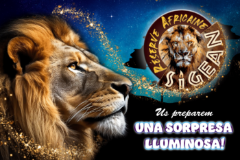 Us preparem una sorpresa lluminosa!