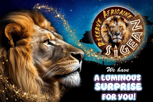 We&#x20;have&#x20;a&#x20;luminous&#x20;surprise&#x20;for&#x20;you&#x21;