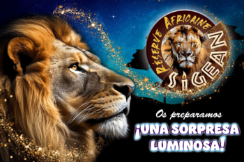 ¡Os preparamos una sorpresa luminosa!