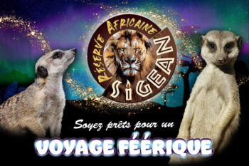 Soyez prêts pour un voyage féérique !