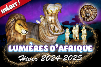 Inédit : Lumières d&#8217;Afrique !