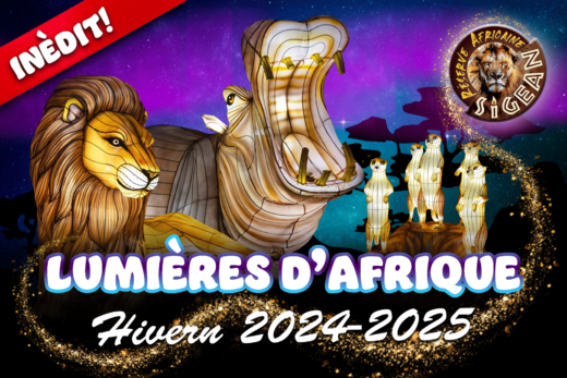 In&#x00E8;dit&#x3A;&#x20;&amp;&#x23;8220&#x3B;Lumi&#x00E8;res&#x20;d&amp;&#x23;8217&#x3B;Afrique&amp;&#x23;8221&#x3B;&#x21;