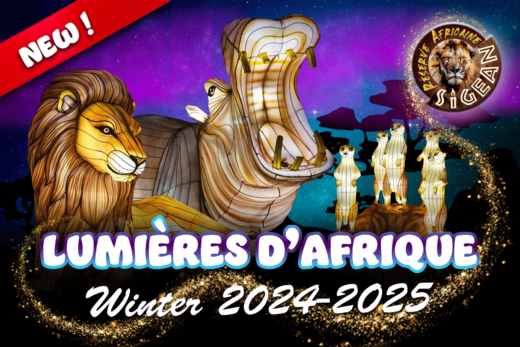 New&#x3A;&#x20;&amp;&#x23;8220&#x3B;Lumi&#x00E8;res&#x20;d&amp;&#x23;8217&#x3B;Afrique&amp;&#x23;8221&#x3B;&#x21;
